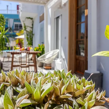 Апартаменты Window Санта-Брихида