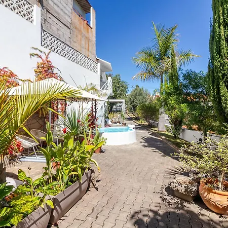 Window Санта-Брихида