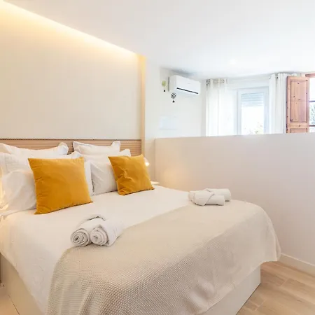 Window * Санта-Брихида