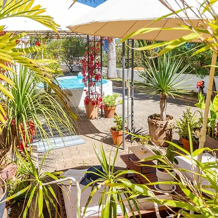 Апартаменты Window